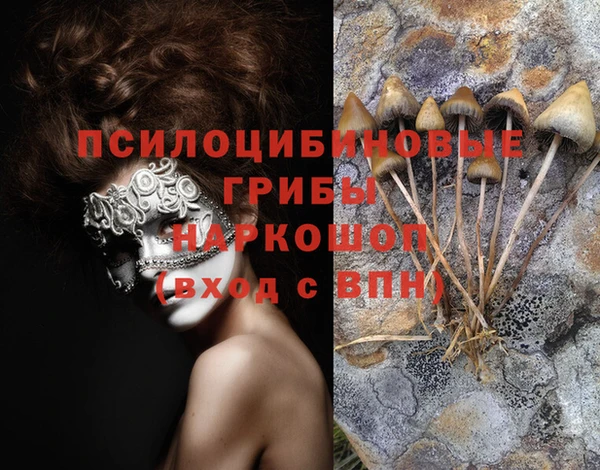 мет Абаза