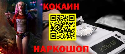 шишки Кингисепп
