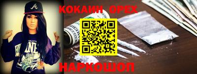 шишки Кингисепп