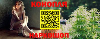 шишки Кингисепп