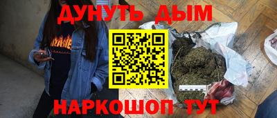 шишки Кингисепп