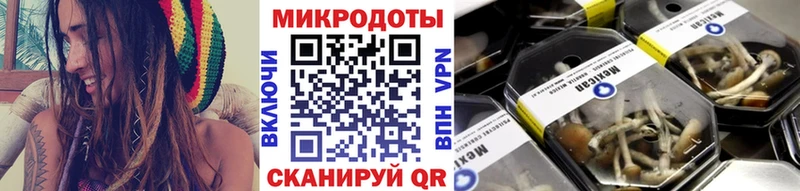 Псилоцибиновые грибы Cubensis  что такое наркотик  Красный Сулин 
